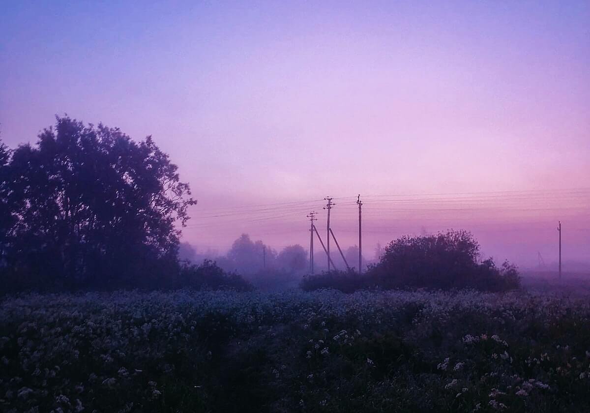 开云APP：开启数字生活新纪元的全场景入口